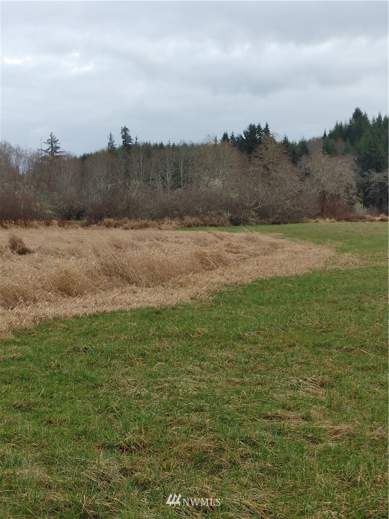 18-xx North River Road Cosmopolis, WA 98537 - Photo 4 of 15 Gallery Image 4