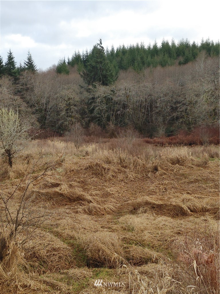18-xx North River Road Cosmopolis, WA 98537 - Photo 5 of 15 Gallery Image 5