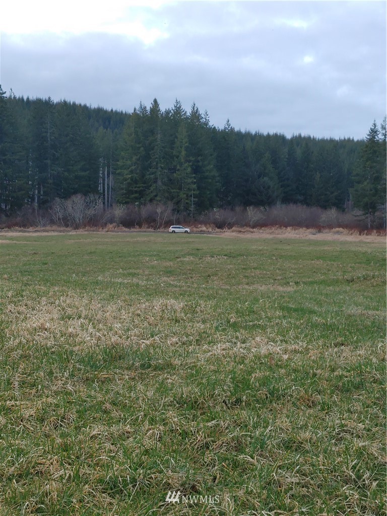 18-xx North River Road Cosmopolis, WA 98537 - Photo 6 of 15 Gallery Image 6