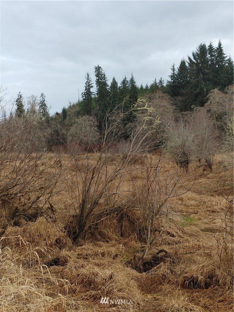 18-xx North River Road Cosmopolis, WA 98537 - Photo 7 of 15 Gallery Image 7