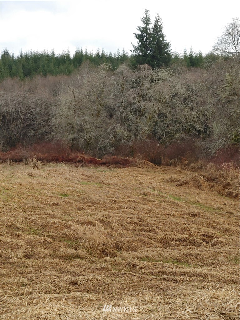 18-xx North River Road Cosmopolis, WA 98537 - Photo 8 of 15 Gallery Image 8