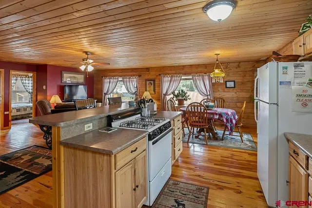 $1,300,000 | 1135 Blair Street, Silverton, CO 81433