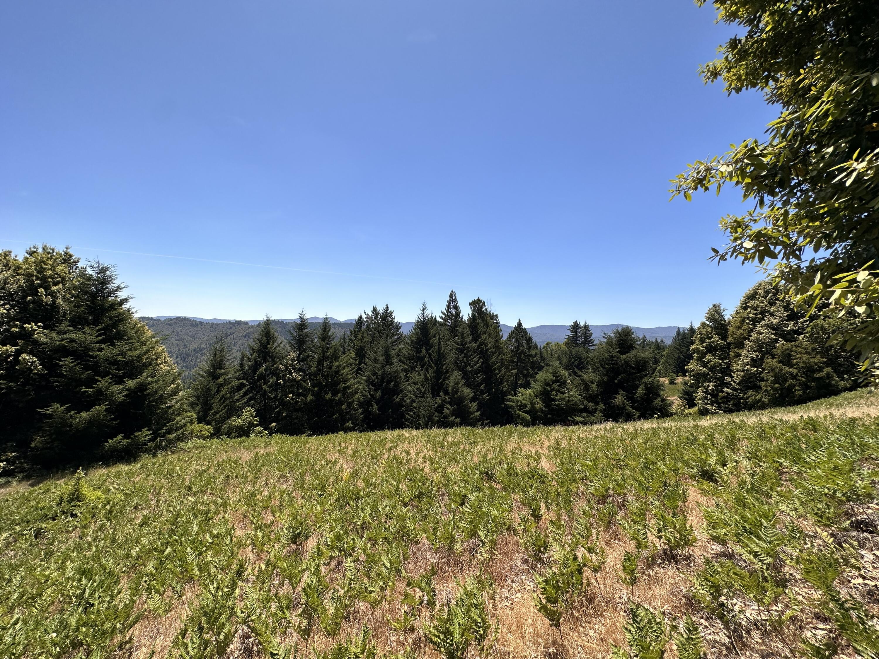 950 Powell Crk Road Garberville, CA 95542 - Photo 25 of 78
