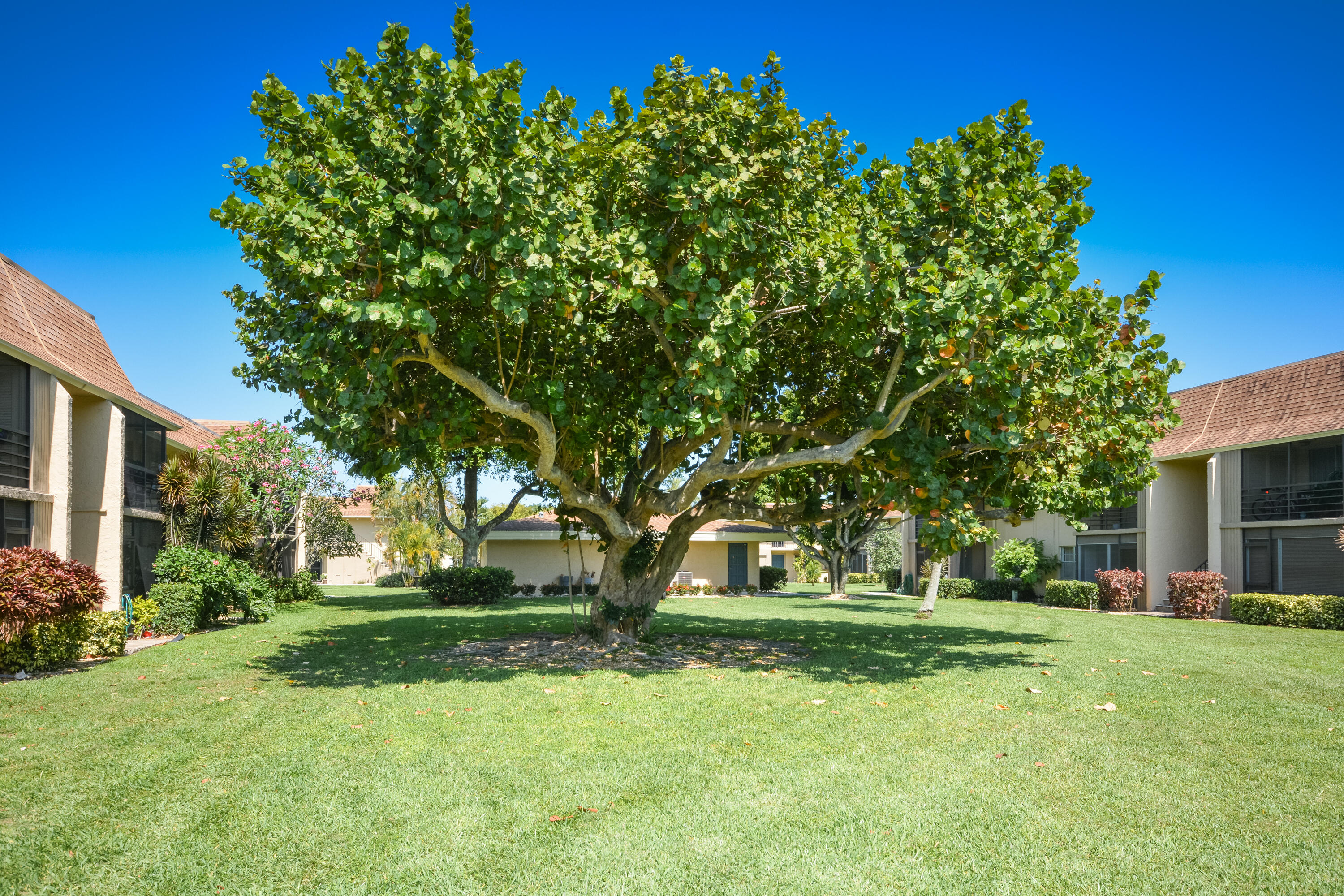 1201 Northwest 13th Street, Unit 331B Boca Raton, FL 33486 - Photo 60 of 69 common area