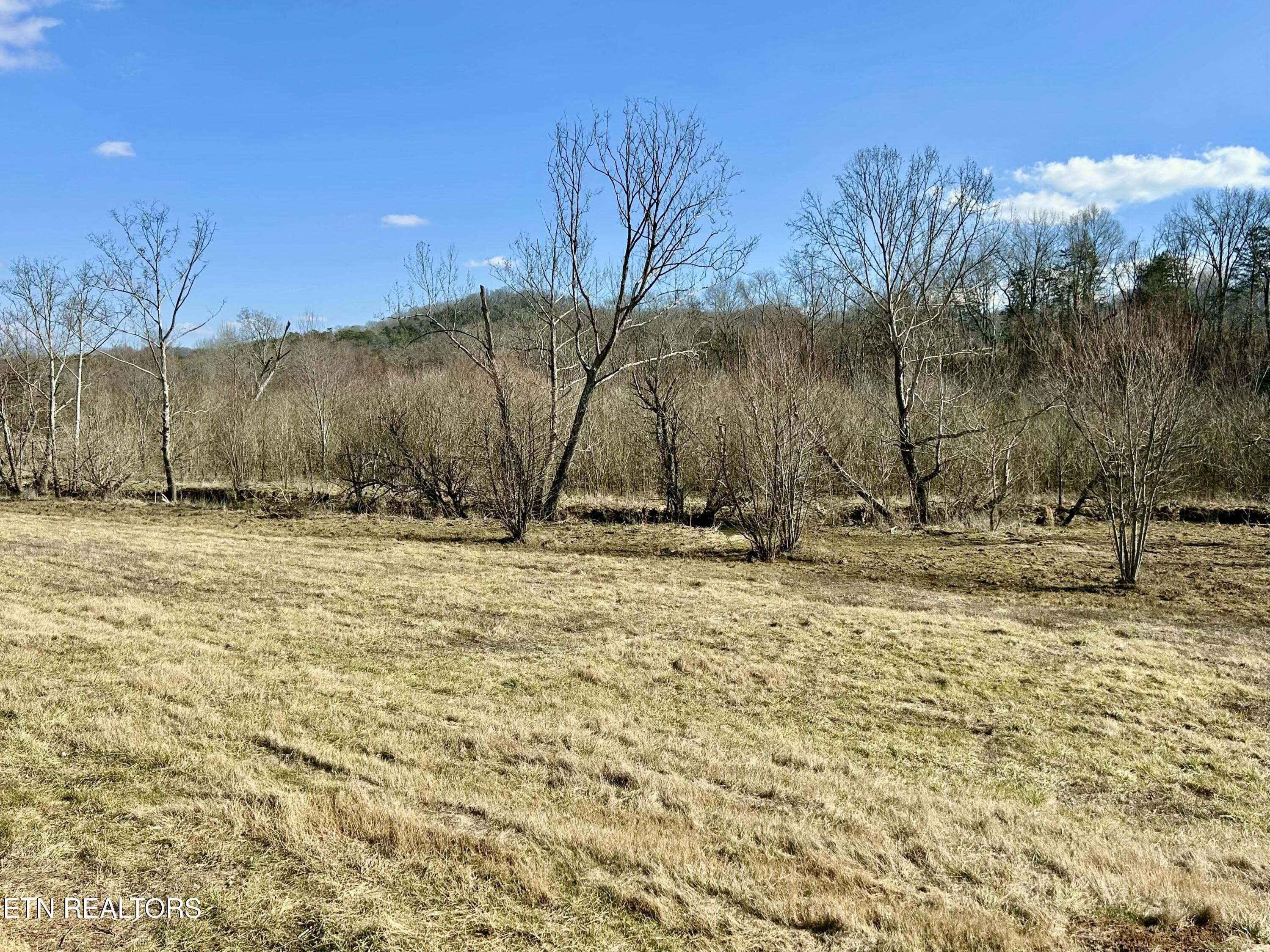 5366 Rutledge Pike Rutledge, TN 37861 - Photo 33 of 43 tempImage3RRPuH