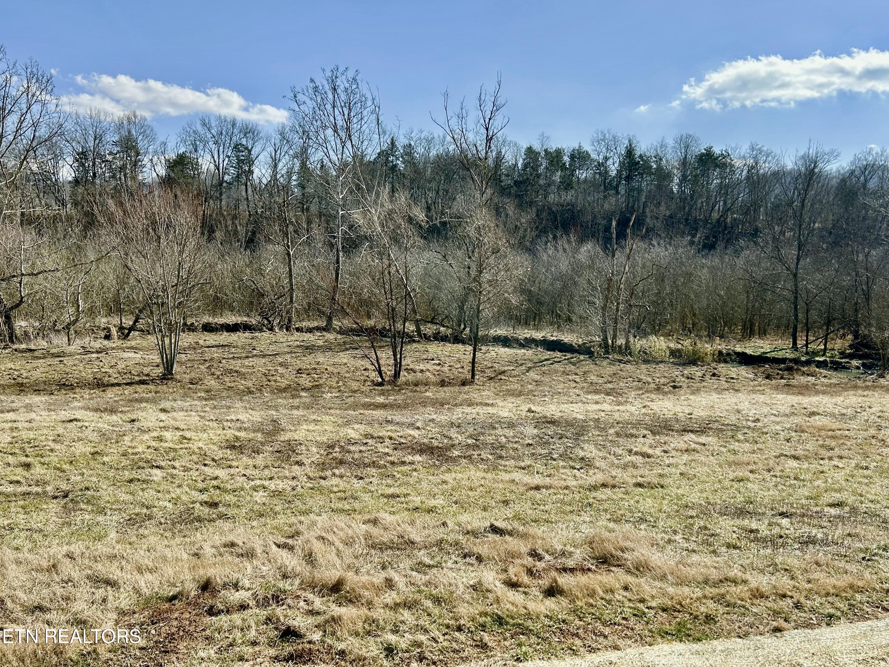 5366 Rutledge Pike Rutledge, TN 37861 - Photo 34 of 43 tempImagec53T3O