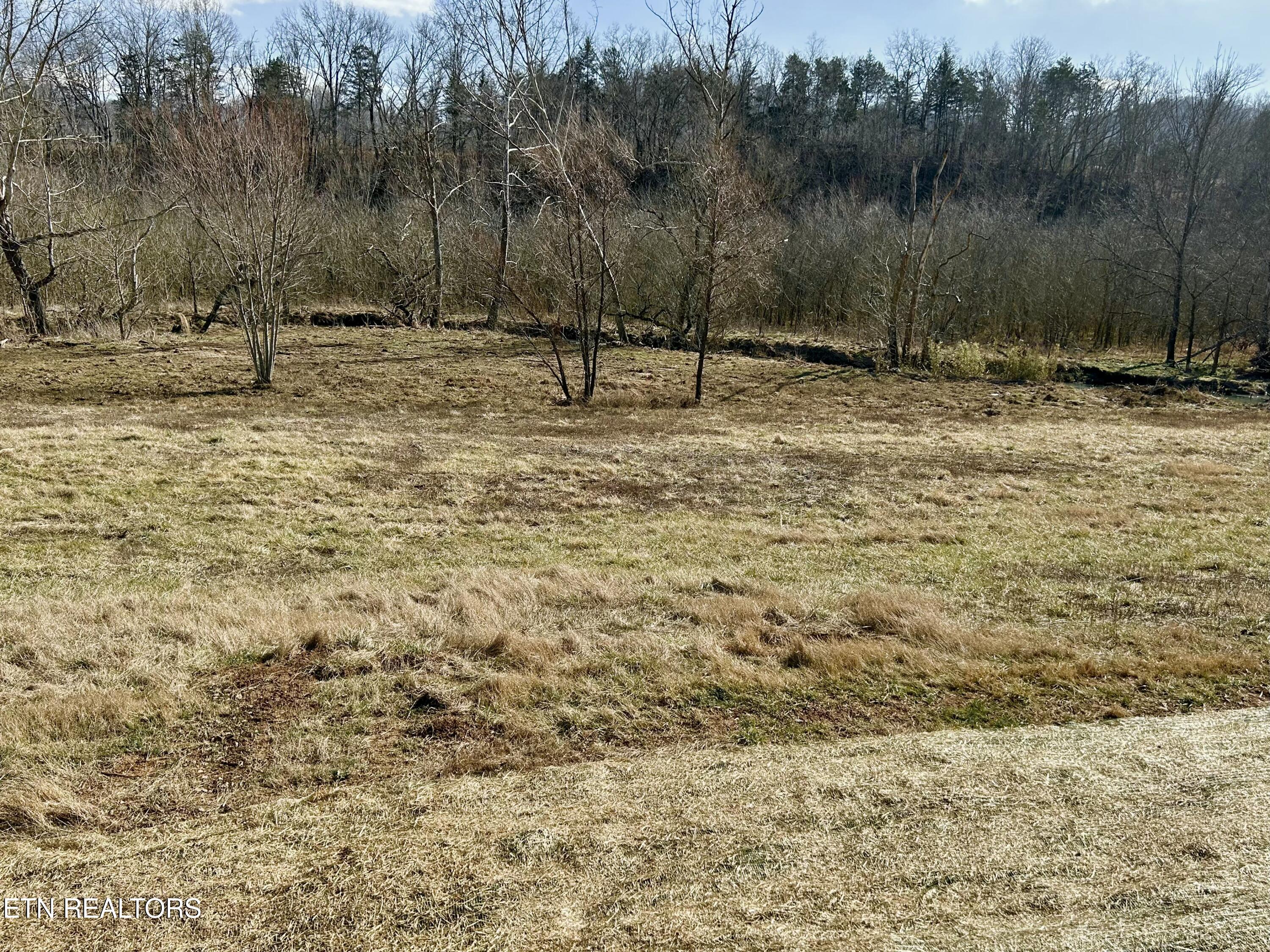 5366 Rutledge Pike Rutledge, TN 37861 - Photo 36 of 43 tempImagenXqxjq