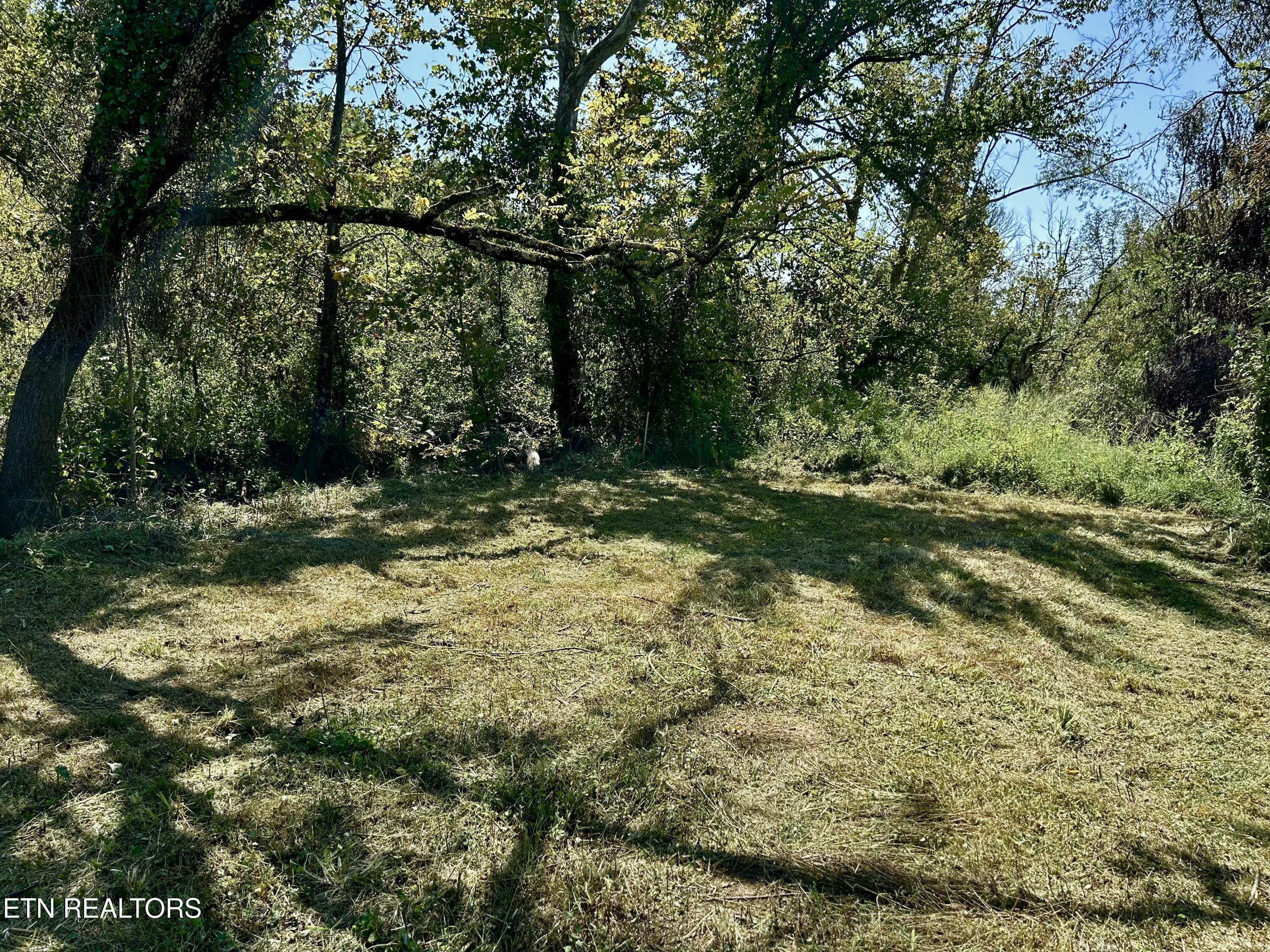 5366 Rutledge Pike Rutledge, TN 37861 - Photo 38 of 43 tempImageOMQ7hA