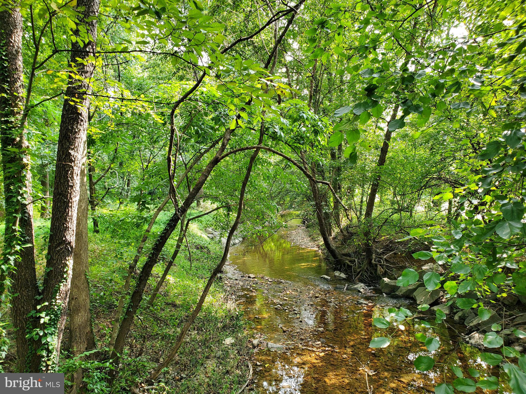 2522 Forest Glen Road Silver Spring, MD 20910 - Photo 61 of 63 One mile to the Sligo Creek Trail