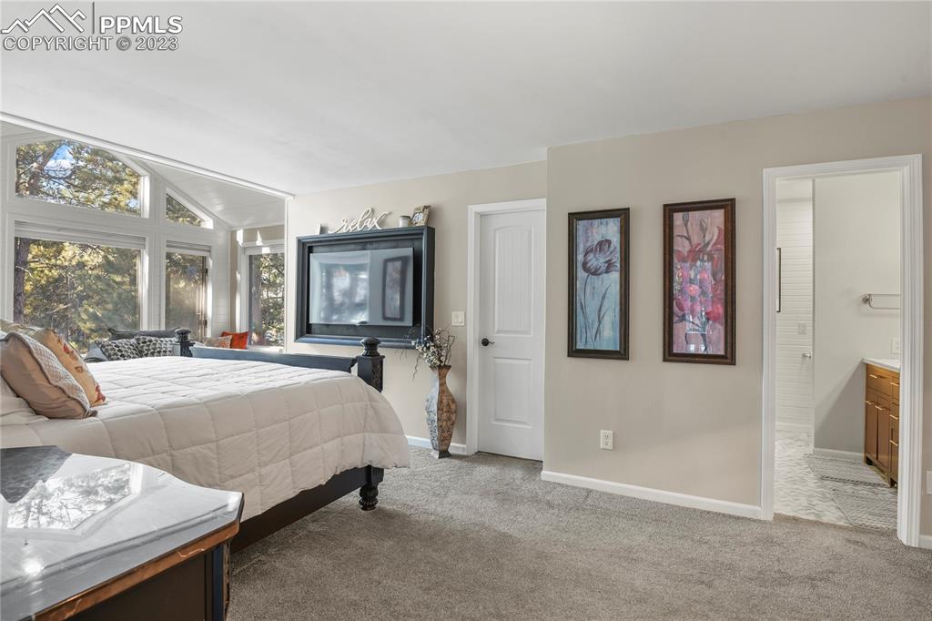 450 Jack Boot Road Monument, CO 80132 - Photo 21 of 45 a bed room with a bed and a television