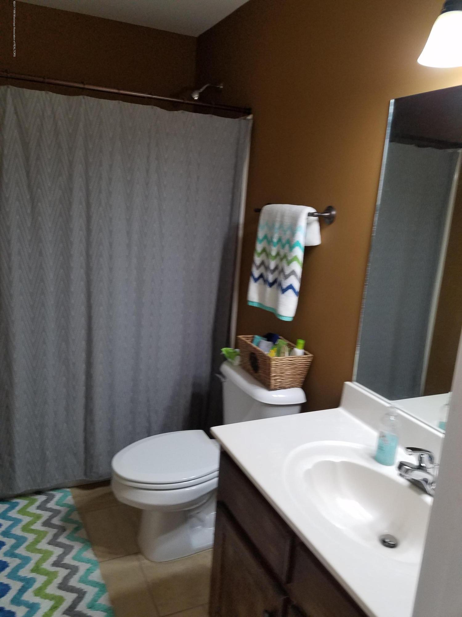 14161 Chapel Ridge Trail Olive Branch, MS 38654 - Photo 26 of 37 20170219_124850