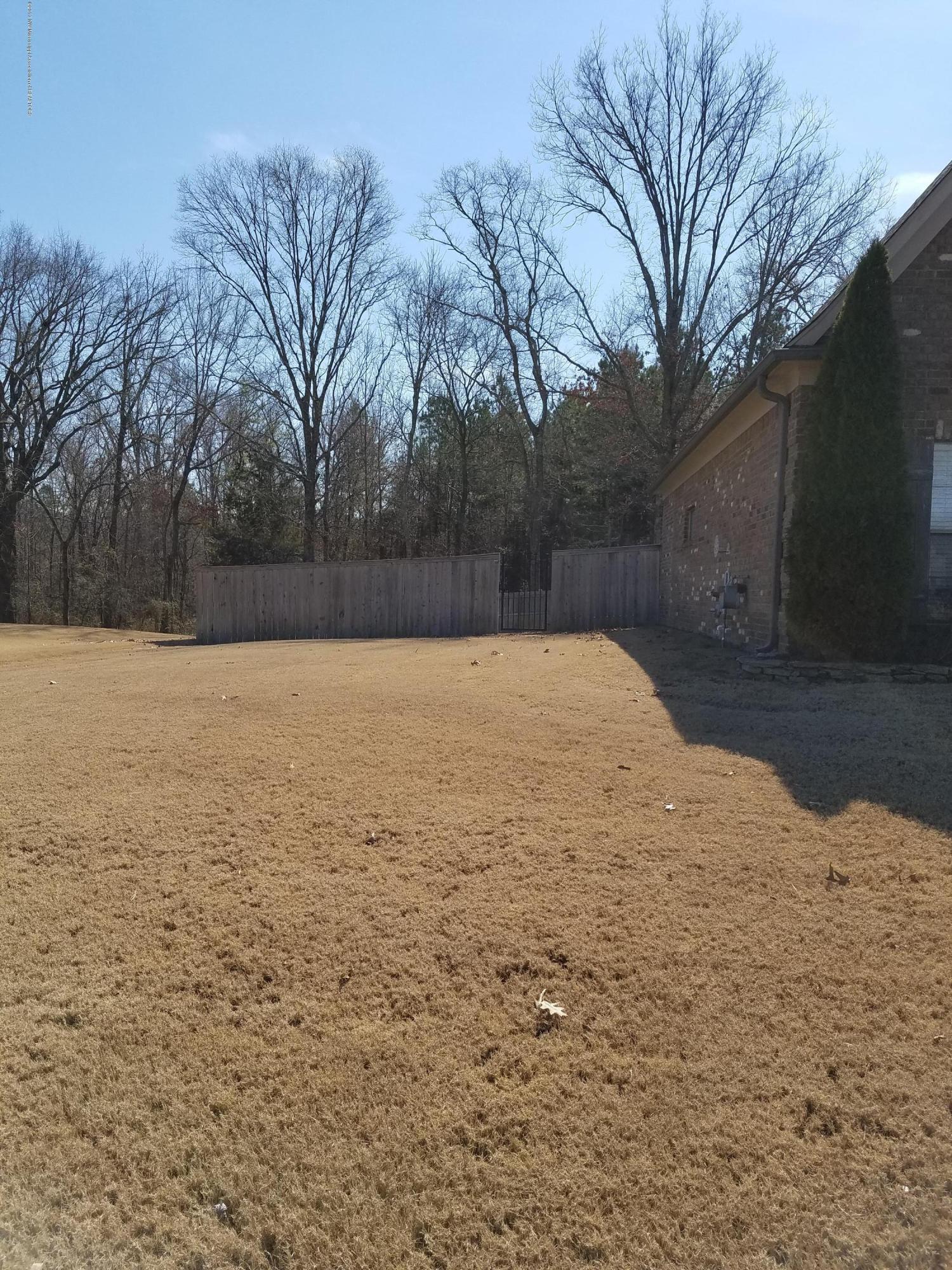 14161 Chapel Ridge Trail Olive Branch, MS 38654 - Photo 3 of 37 20170219_130628