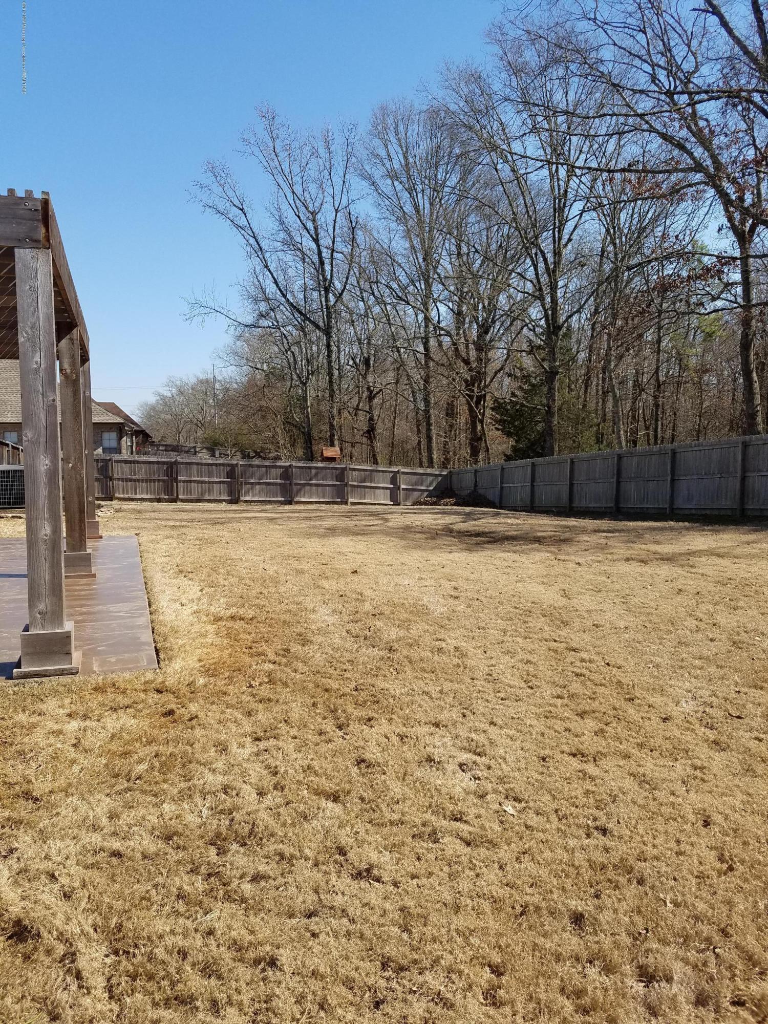 14161 Chapel Ridge Trail Olive Branch, MS 38654 - Photo 32 of 37 20170219_130209