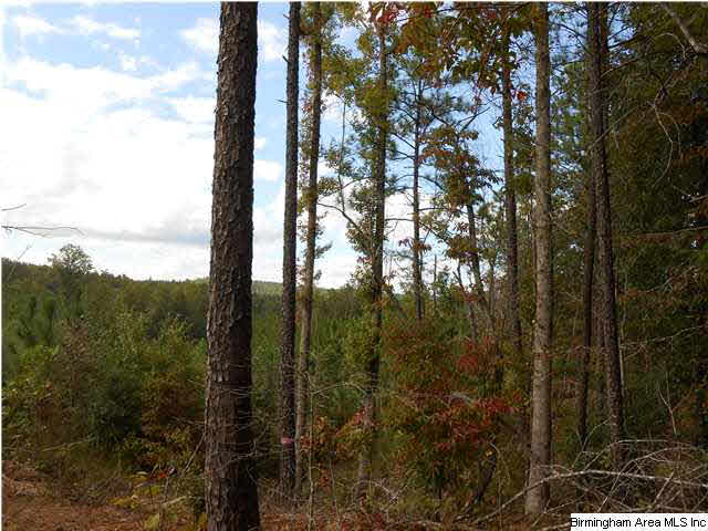 Meherg Road, Unit 28 Rockford, AL 35136 - Photo 22 of 25