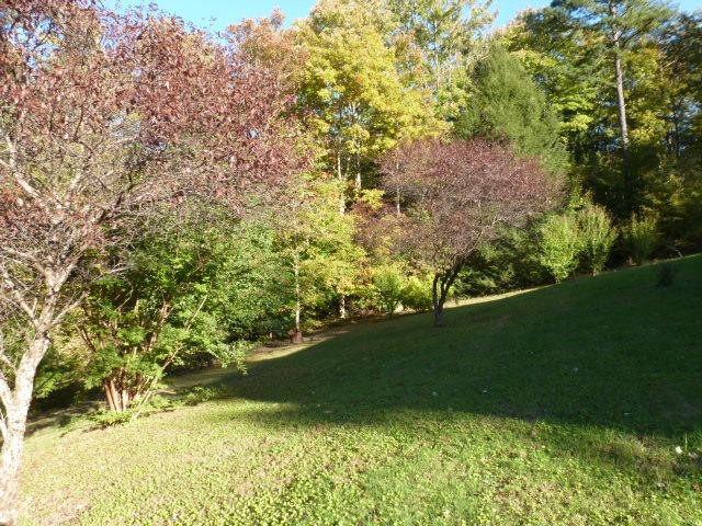 801 Singleton Road Wellington, KY 40387 - Photo 18 of 70 Listing Photo