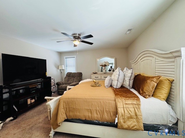 378 Halls Store Road Mineral, VA 23117 - Photo 19 of 35 a bedroom with a bed and a flat screen tv