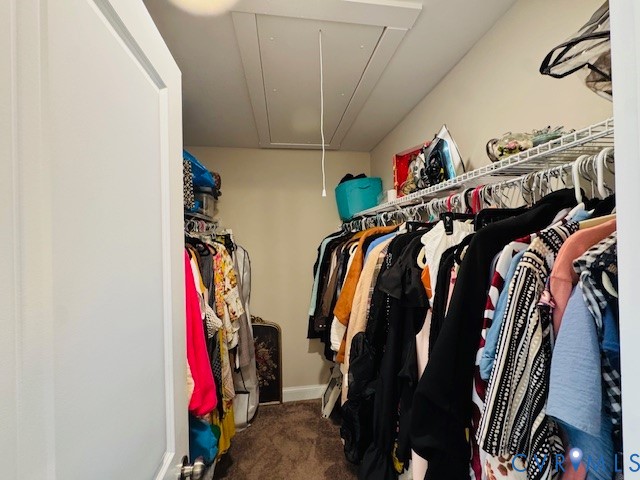 378 Halls Store Road Mineral, VA 23117 - Photo 22 of 35 a view of walk in closet with clothes and shoes