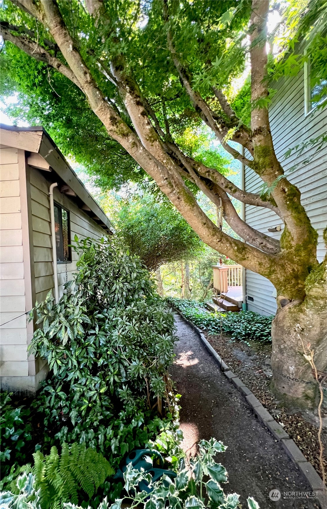 934 Edmonds Street Edmonds, WA 98020 - Photo 10 of 14 Gallery Image 10