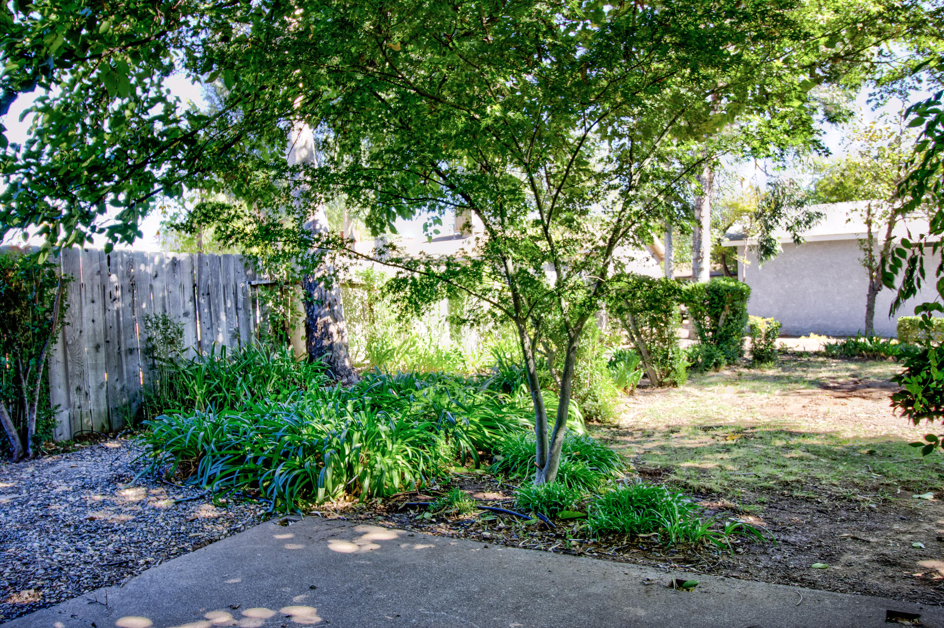 2602 Irwin Road Redding, CA 96002 - Photo 25 of 27 a backyard of a house with lots of green space