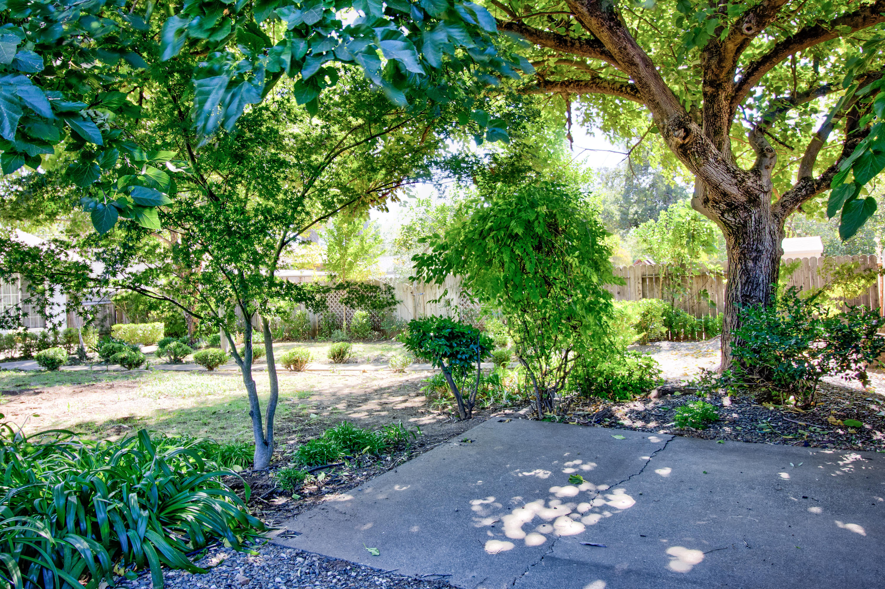 2602 Irwin Road Redding, CA 96002 - Photo 27 of 27 a view of a yard with plants and tree