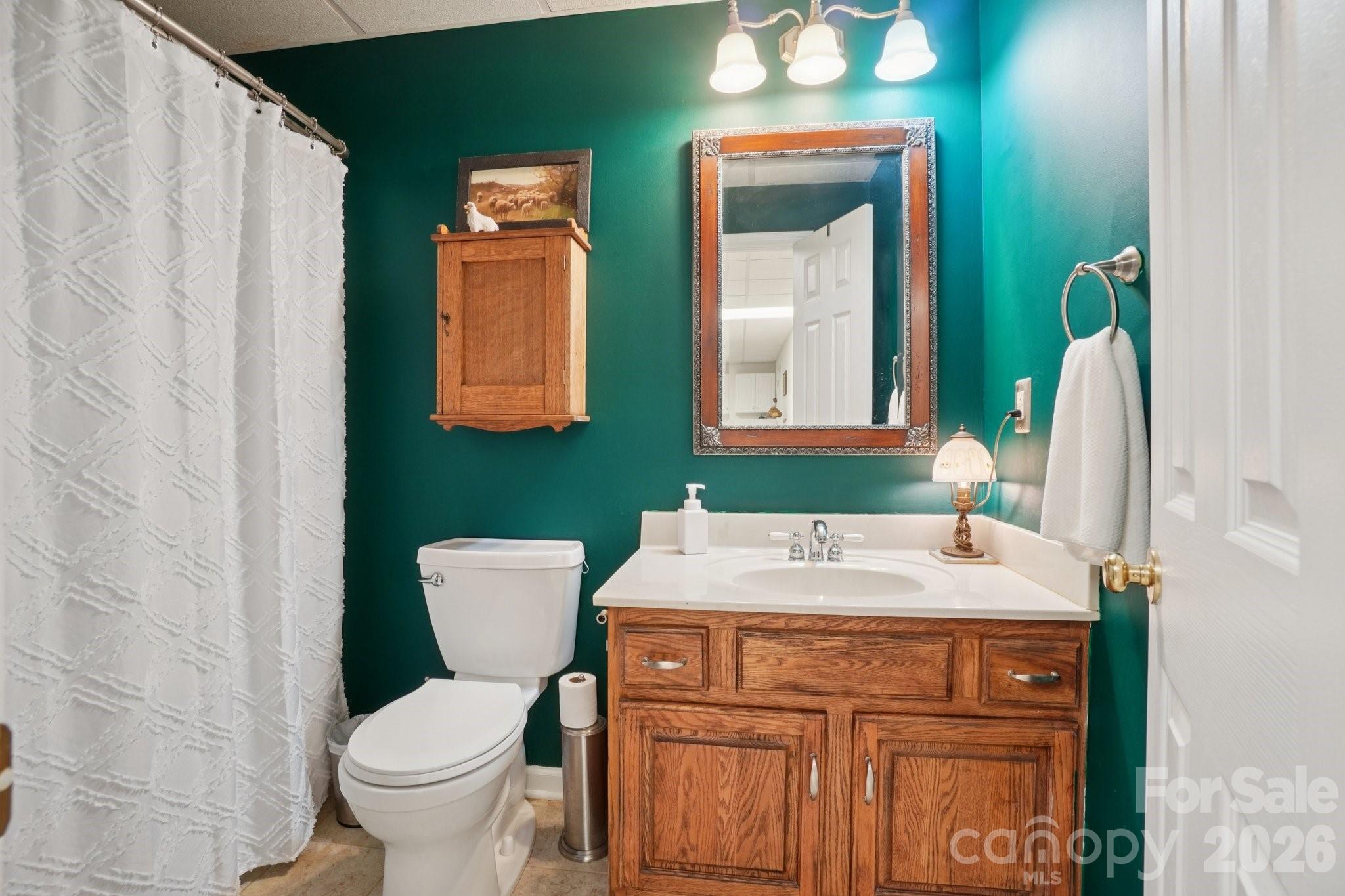 4005 Little River Road Hendersonville, NC 28739 - Photo 37 of 48