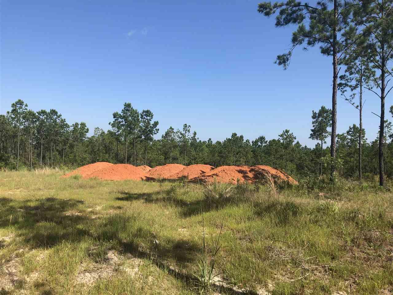 Mill Creek Road Pace, FL 32571 - Photo 1 of 5