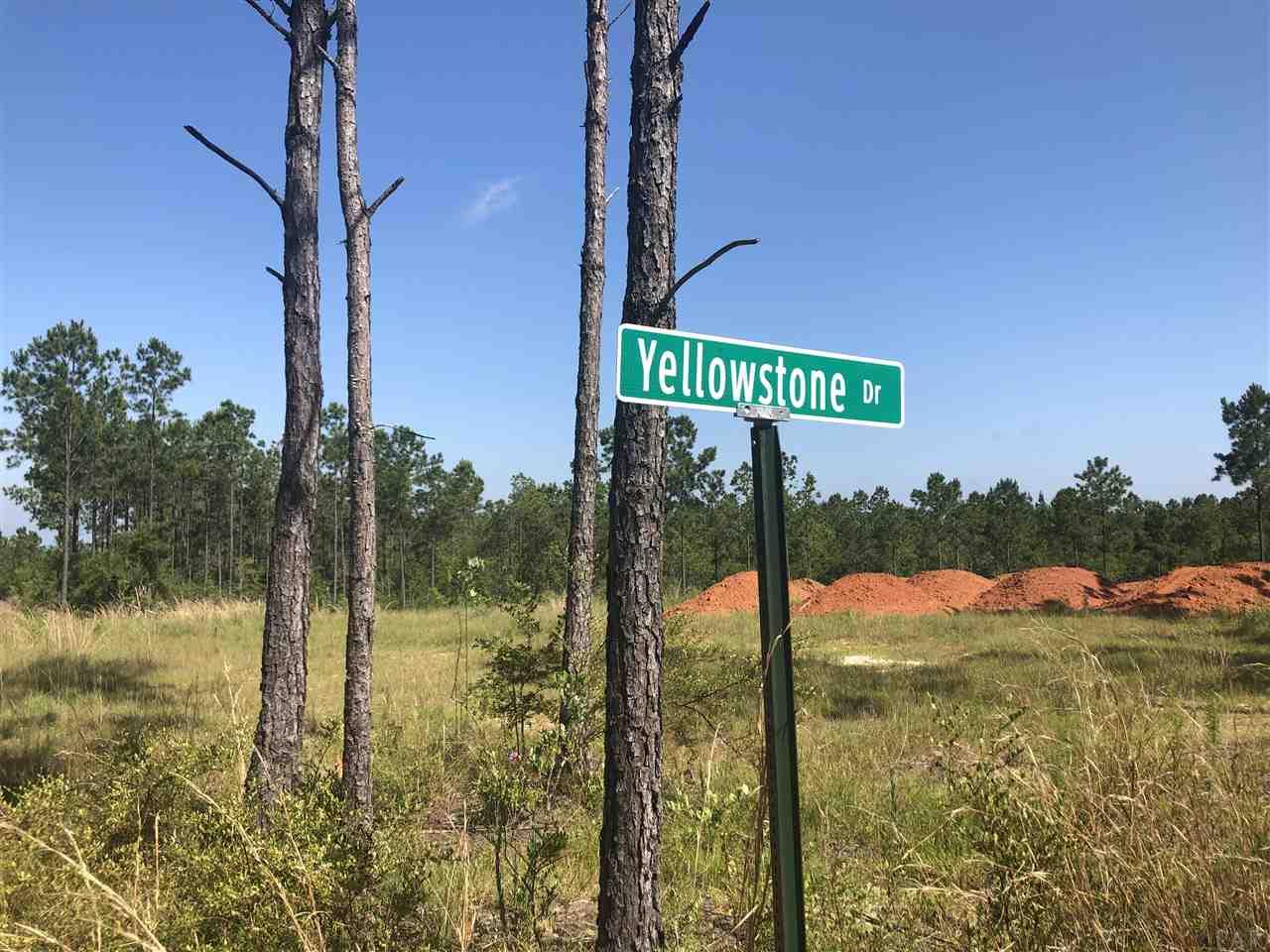 Mill Creek Road Pace, FL 32571 - Photo 2 of 5