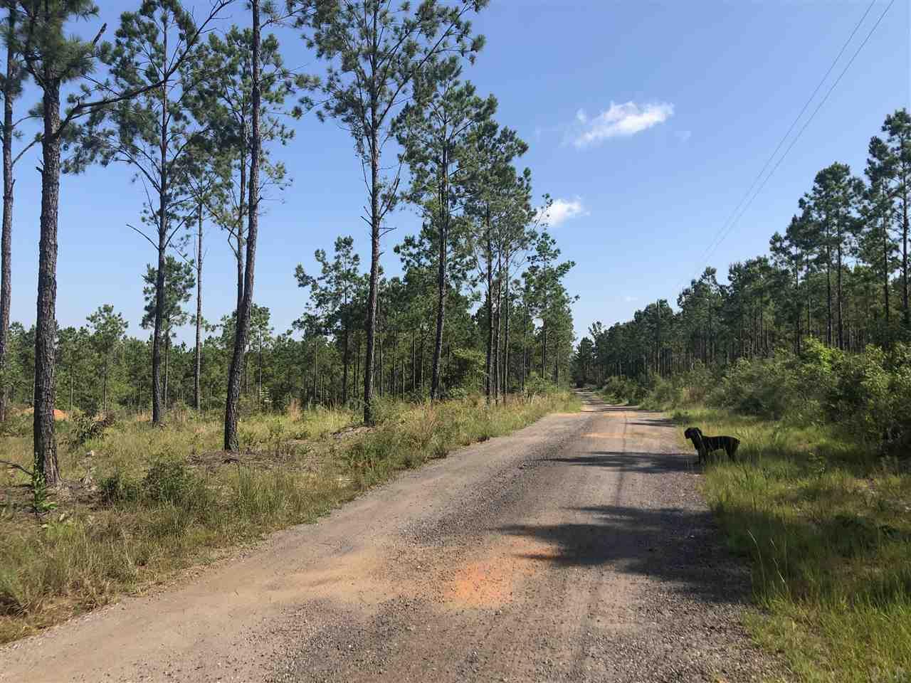Mill Creek Road Pace, FL 32571 - Photo 3 of 5