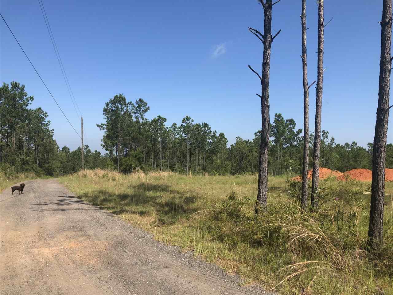 Mill Creek Road Pace, FL 32571 - Photo 4 of 5