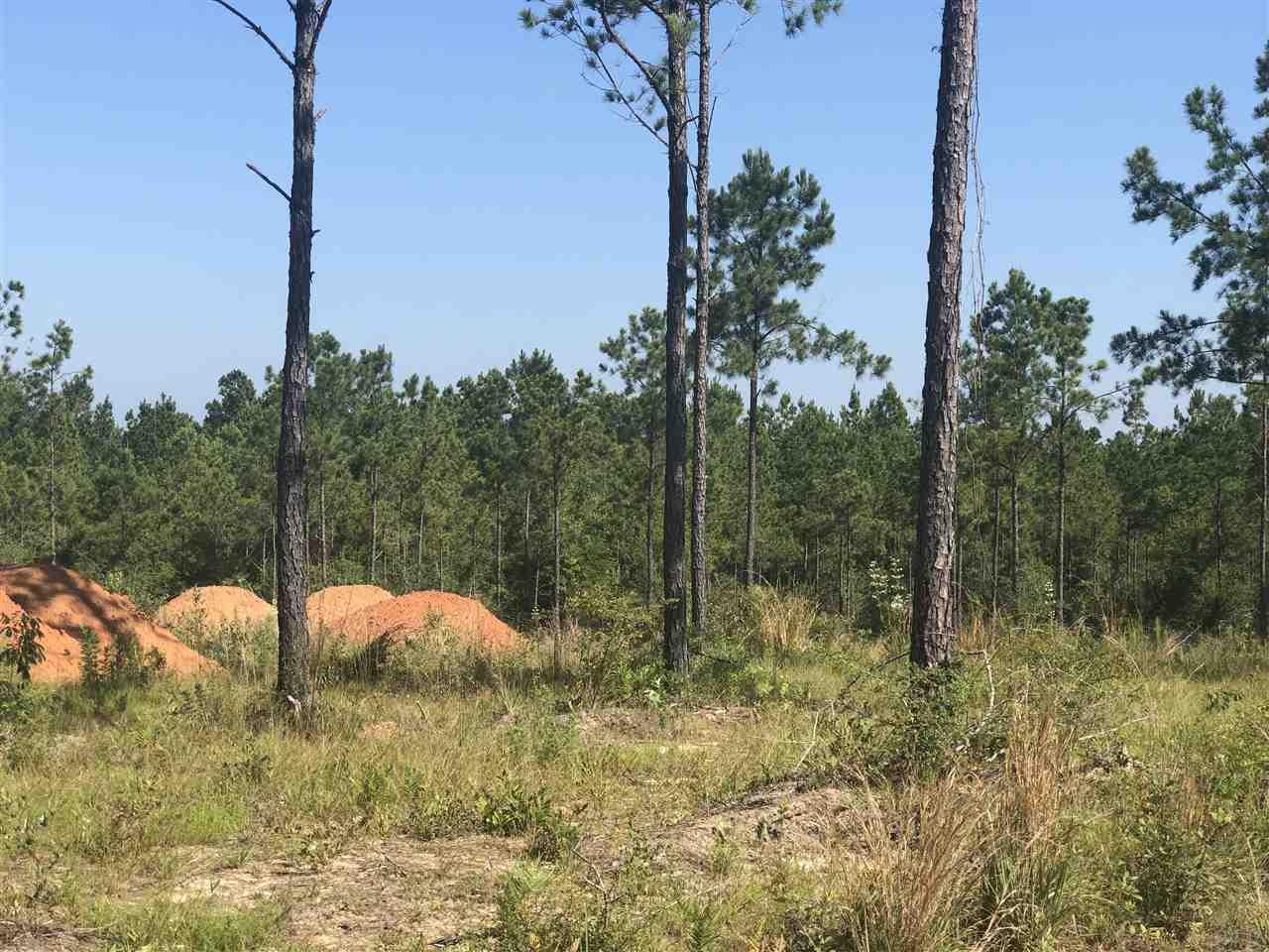 Mill Creek Road Pace, FL 32571 - Photo 5 of 5