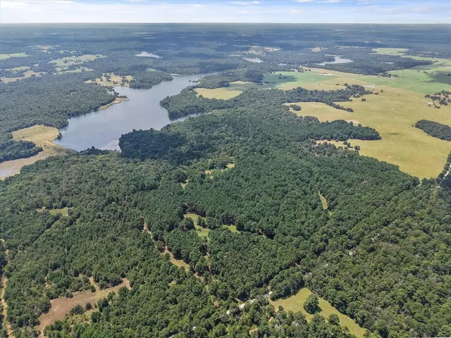 a view of a lake with a mountain