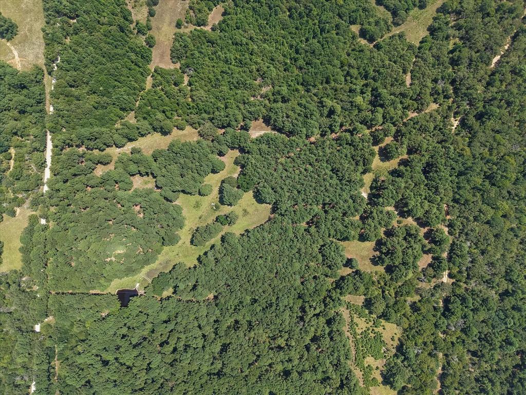 541 Fcr 240 Fairfield, TX 75840 - Photo 11 of 38 a view of a lush green forest
