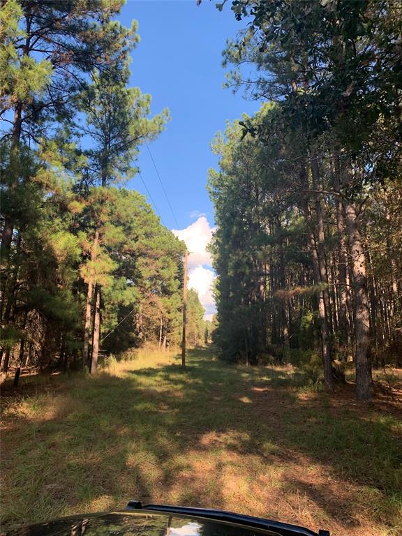 541 Fcr 240 Fairfield, TX 75840 - Photo 12 of 38 a view of outdoor space and street view