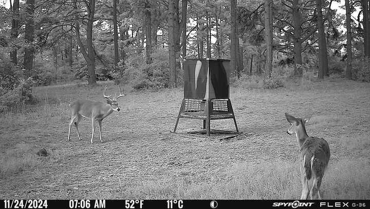 541 Fcr 240 Fairfield, TX 75840 - Photo 13 of 38 a view of an outdoor space