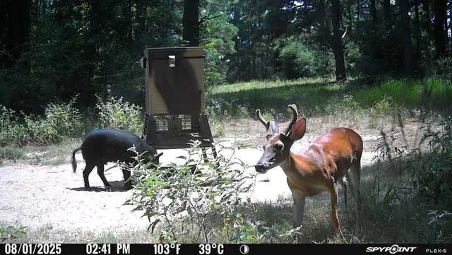 a view of outdoor space with seating area