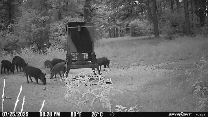 541 Fcr 240 Fairfield, TX 75840 - Photo 15 of 38 a view of outdoor space with seating area