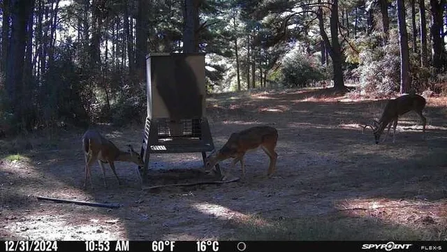 a view of outdoor space with seating area