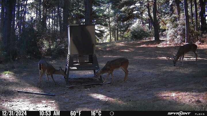 541 Fcr 240 Fairfield, TX 75840 - Photo 16 of 38 a view of a outdoor space