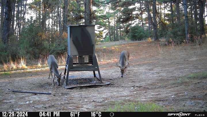 541 Fcr 240 Fairfield, TX 75840 - Photo 17 of 38 a view of outdoor space with seating area