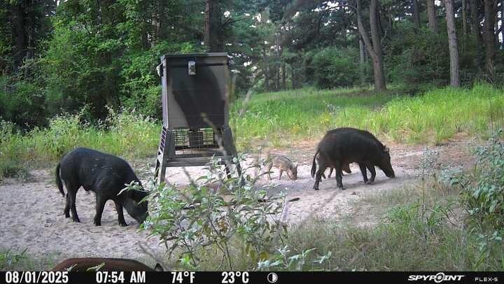 541 Fcr 240 Fairfield, TX 75840 - Photo 18 of 38