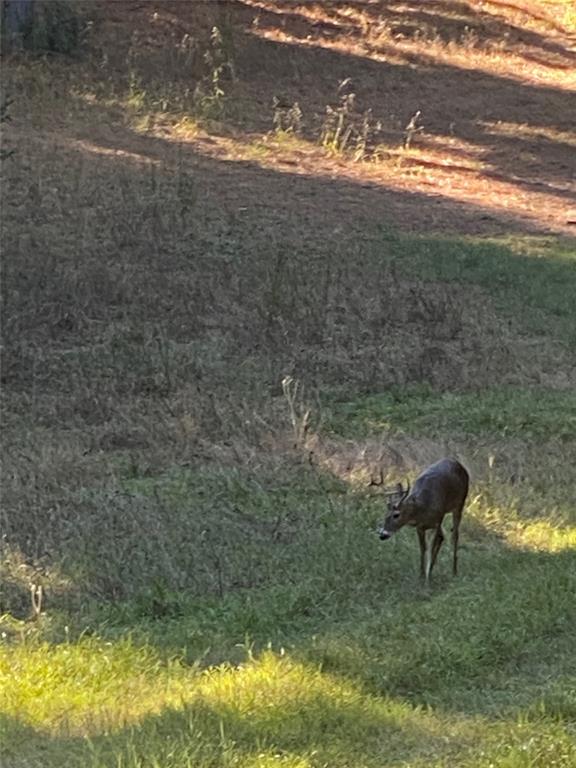 541 Fcr 240 Fairfield, TX 75840 - Photo 19 of 38