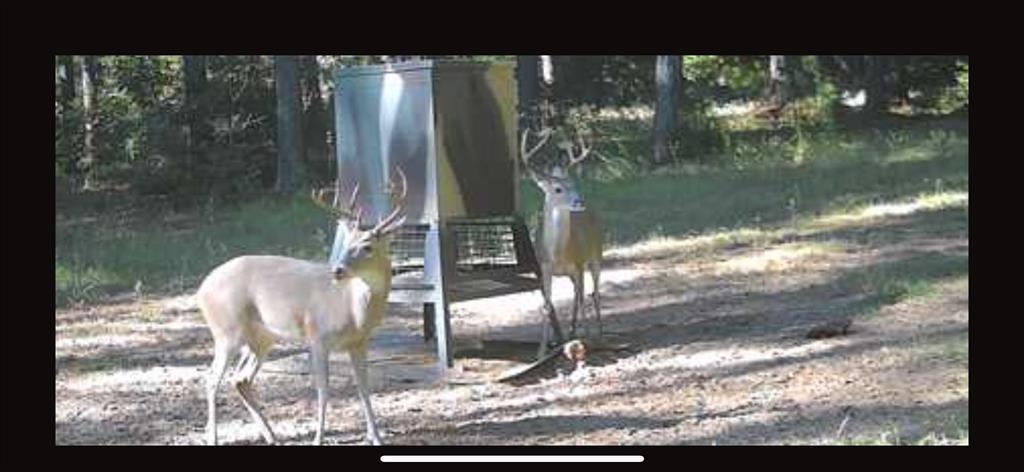 541 Fcr 240 Fairfield, TX 75840 - Photo 20 of 38