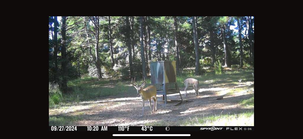 541 Fcr 240 Fairfield, TX 75840 - Photo 21 of 38