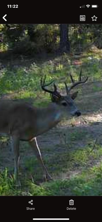541 Fcr 240 Fairfield, TX 75840 - Photo 22 of 38 a view of a lake from a yard