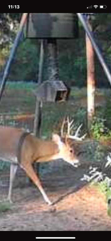 541 Fcr 240 Fairfield, TX 75840 - Photo 23 of 38 a view of water pond