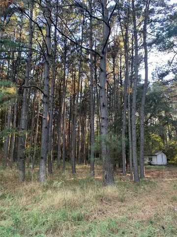a view of a yard with a tree