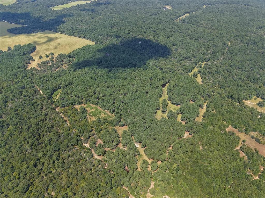 541 Fcr 240 Fairfield, TX 75840 - Photo 3 of 38