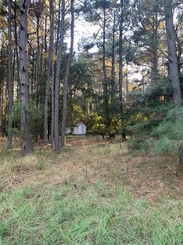 a view of outdoor space and trees