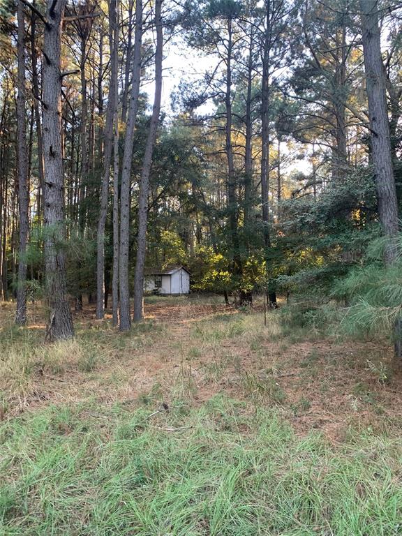 541 Fcr 240 Fairfield, TX 75840 - Photo 31 of 38 a view of a forest with trees in the background