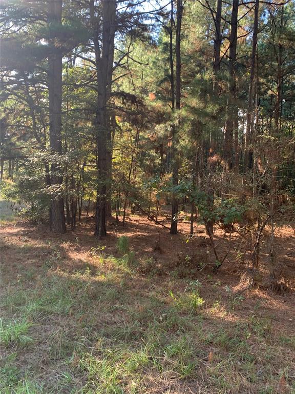 541 Fcr 240 Fairfield, TX 75840 - Photo 32 of 38 a view of a yard with trees